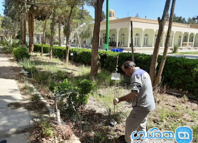 ادامه کاشت نهال مهربانی در موزه آینه و روشنایی بعد از کرونا