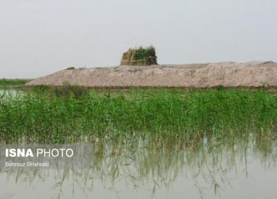 شروع عملیات اجرایی انتقال آب به مزارع کشاورزان سیستان وبلوچستان
