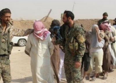 عراق، دستگیری 13 تروریست داعشی در بغداد