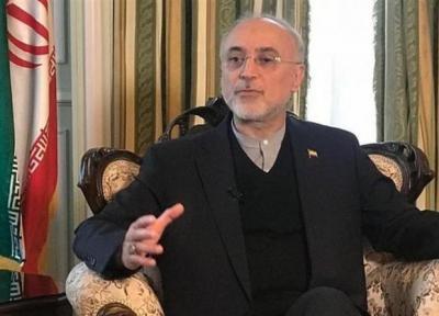 صالحی: فتوای رهبر معظم انقلاب در حرام بودن بمب اتم حرف نهایی ایران است