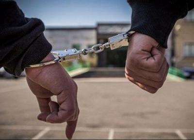دستگیری سارقان در لحظات اولیه تحویل سال نو خبرنگاران