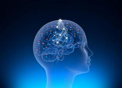 بحران مدیریتی در شرکت فناوری عصبی ایلان ماسک