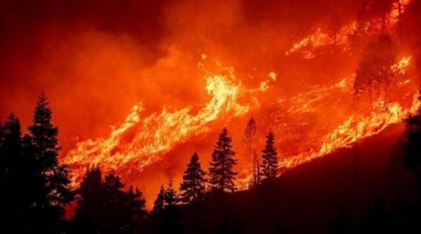 تشدید آتش سوزی کالدور در غرب آمریکا