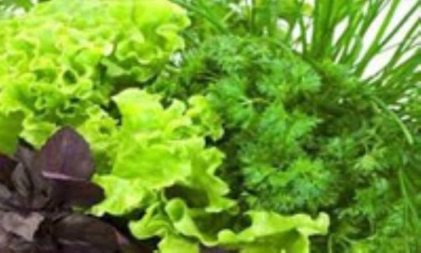 فهرستی از سبزیجات سبز فهرستی از سبزیجات سبز